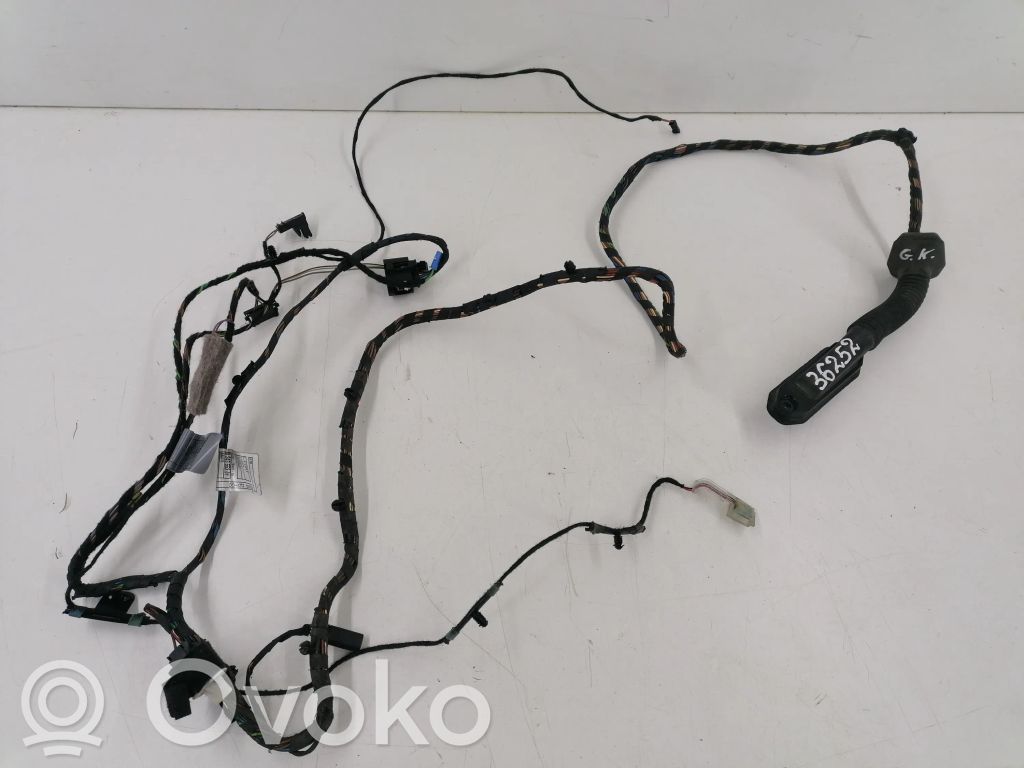 BMW X5 E70 Cableado de puerta trasera 
