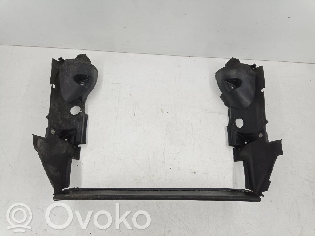 BMW X3 E83 Radiatoriaus oro nukreipėjas (-ai) 