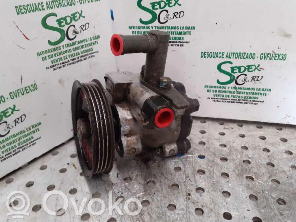 Hyundai Accent Power steering pump 