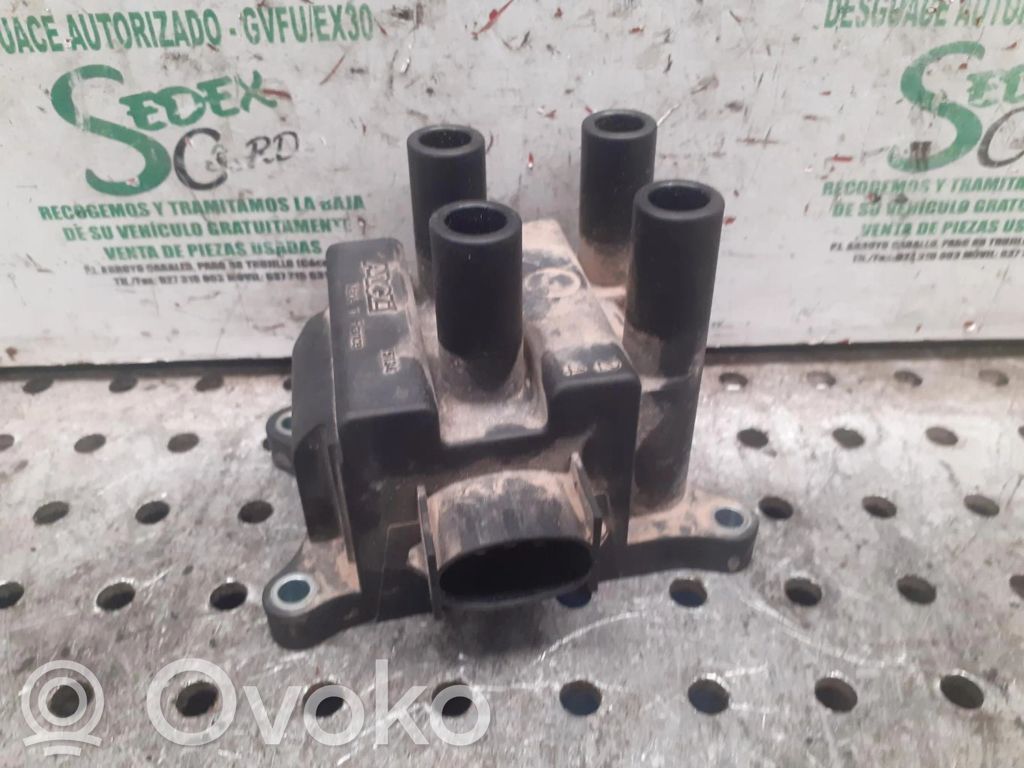 Ford Fiesta Aukštos įtampos ritė "babyna" 