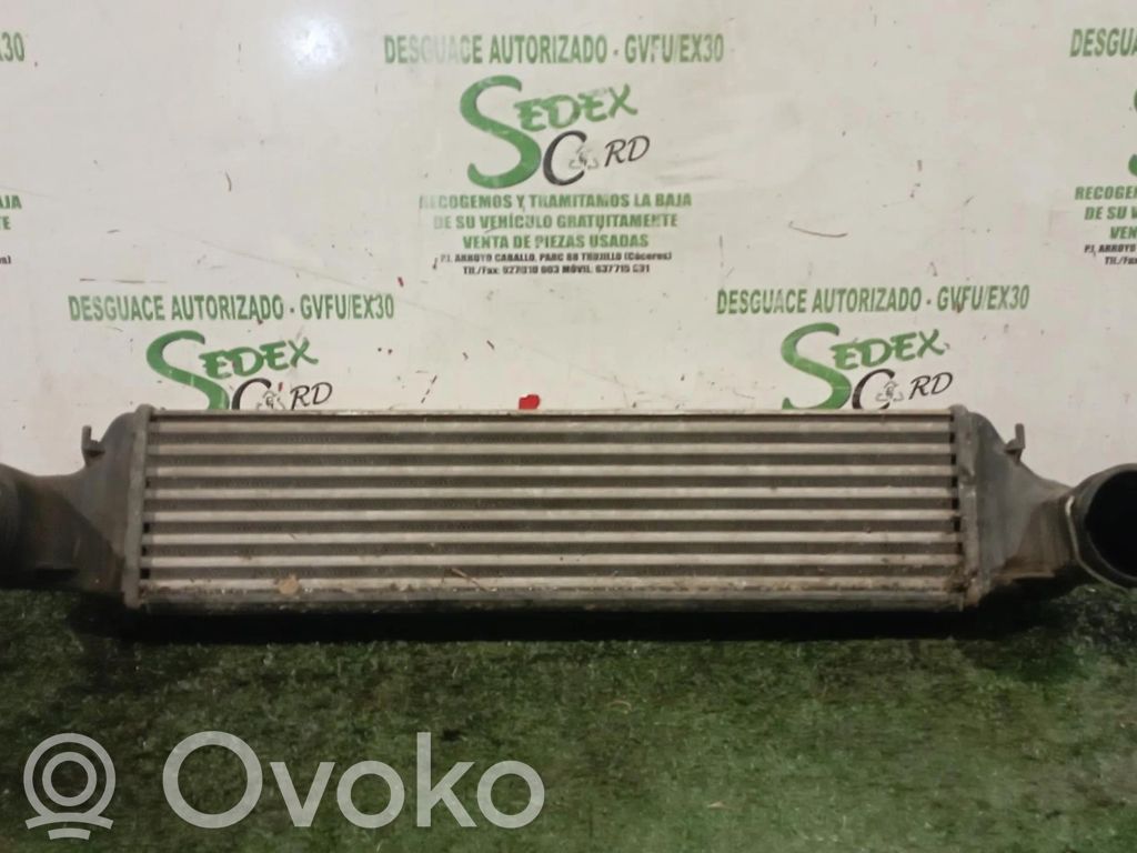 Intercooler radiator   77897930