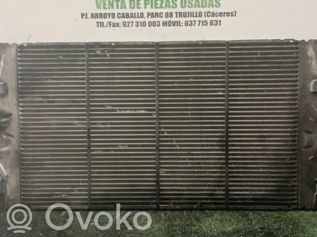 Interkūlerio radiatorius   8200033732