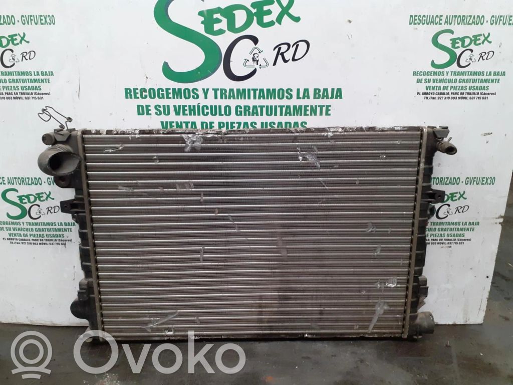 Dzesēšanas šķidruma radiators   61875A