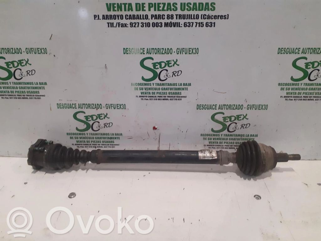 Volkswagen Golf V Eje de transmisión (juego) 
