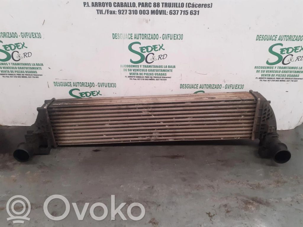 Renault Espace IV Intercooler radiator 