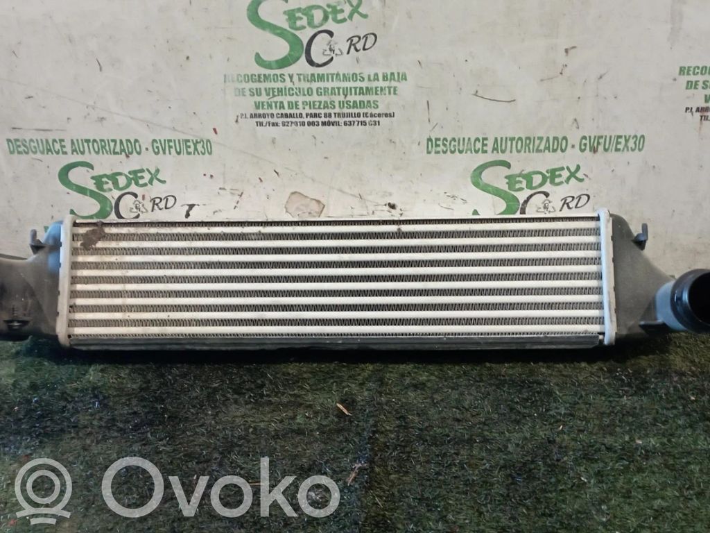 Intercooler radiator   17517786351