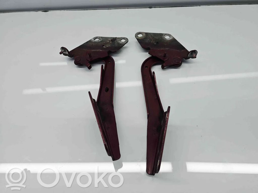 Renault Megane III Set di cerniere portiera anteriore 