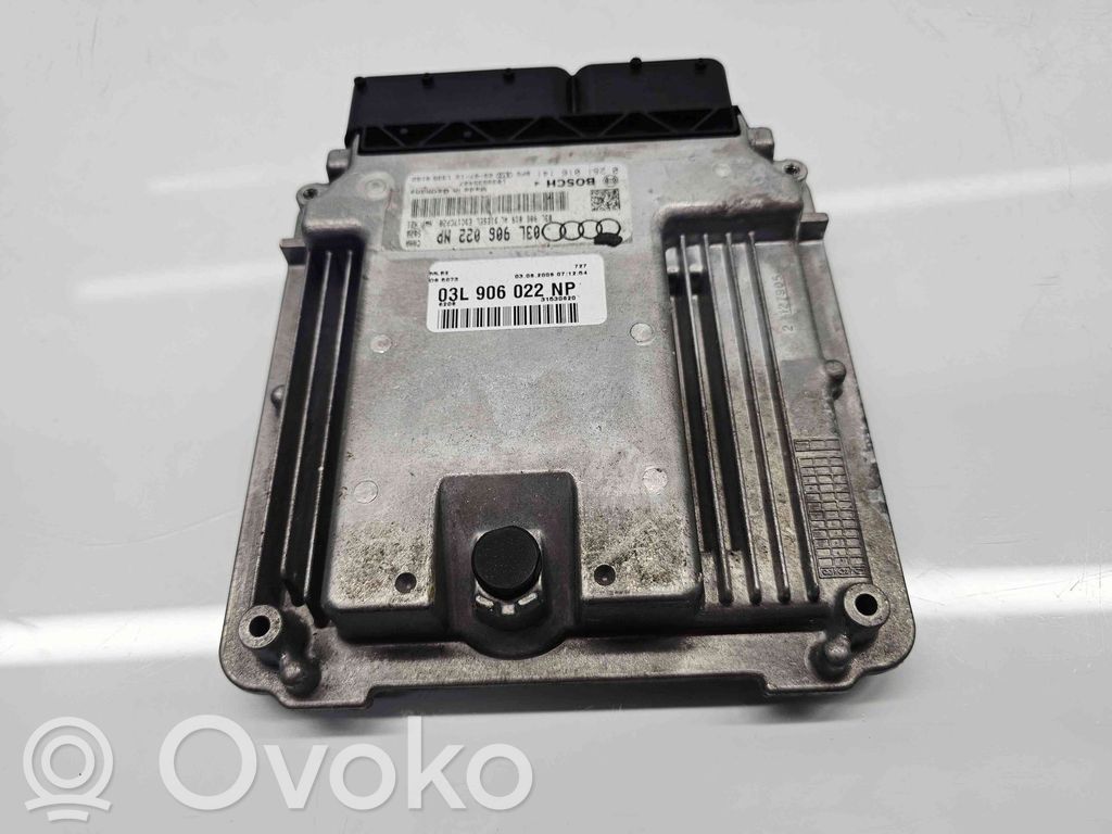 Engine control unit/module ECU   03L906022NP