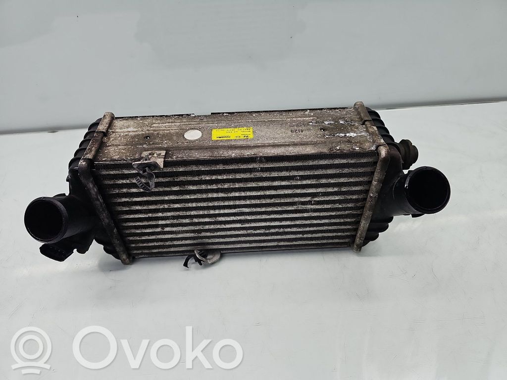 Intercooler radiator   282702A770