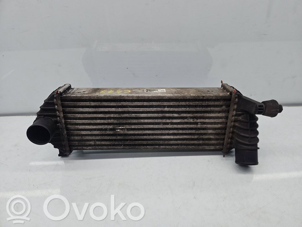 Renault Kangoo II Intercooler radiator 