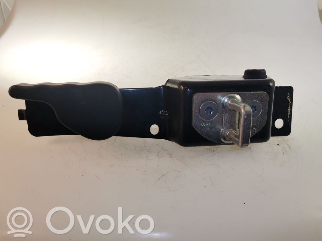 Loading door lock loop/hook striker   497811,497811