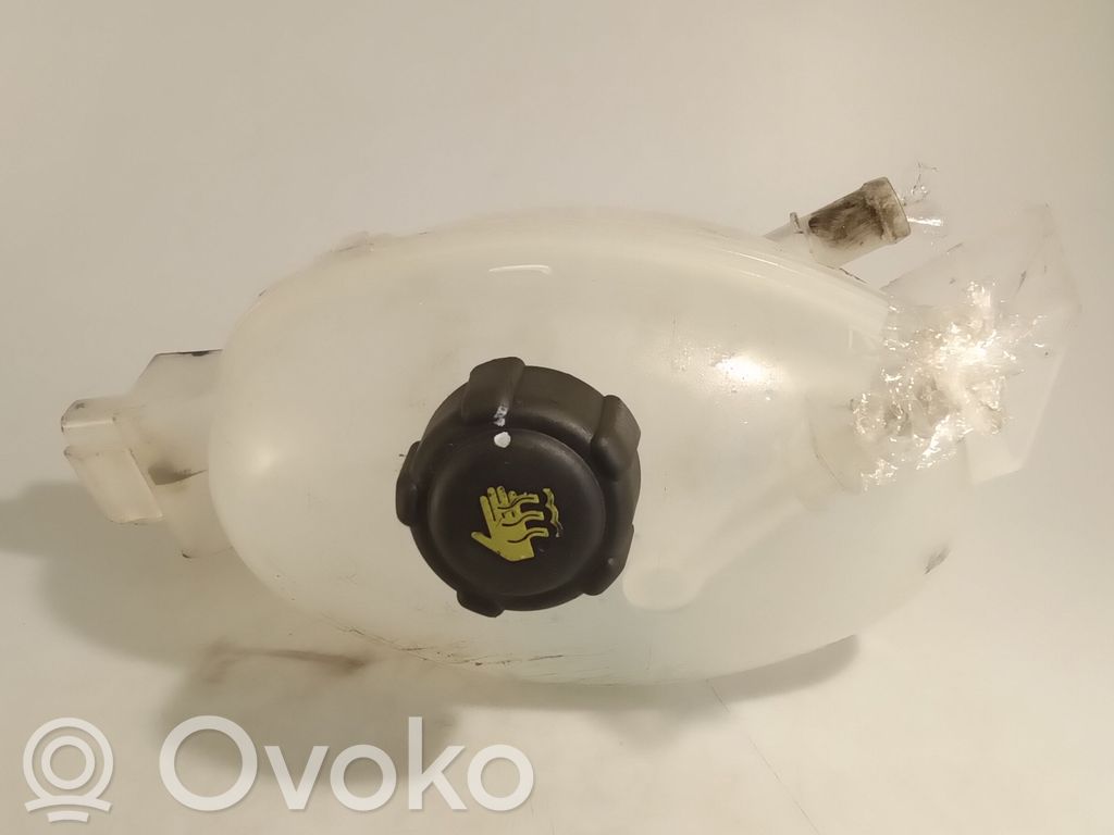 Renault Master III Aušinimo skysčio išsiplėtimo bakelis 