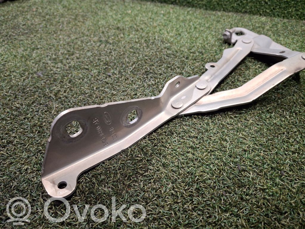 Dzinēja pārsega eņģe (-es)   BK2116800AB