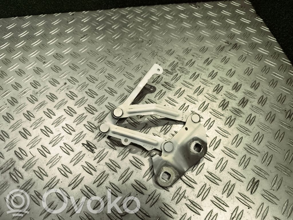 Ford Transit Custom Dzinēja pārsega eņģe (-es) 