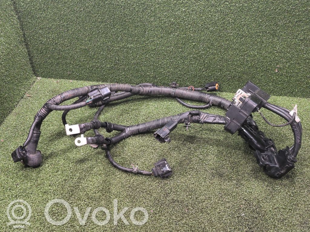 KIA Ceed Pluskaapeli (akku) 