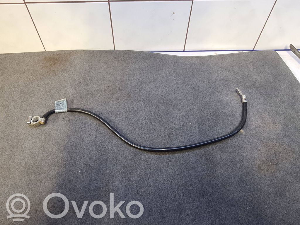 Negative earth cable (battery)   6919976,10299011,EE210P
