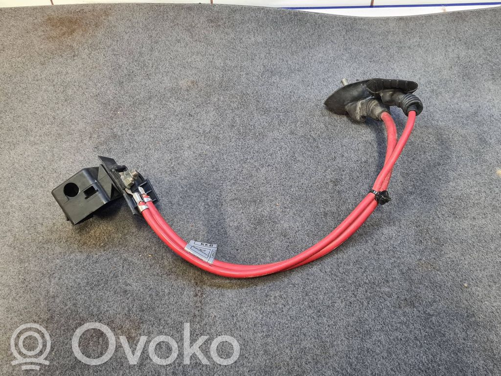 Cable positivo (batería)   6910542,13318810,22002114