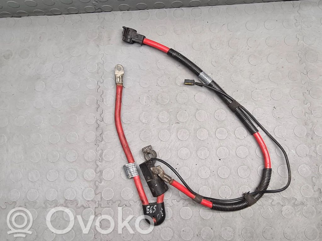 Positive cable (battery)   6904877
