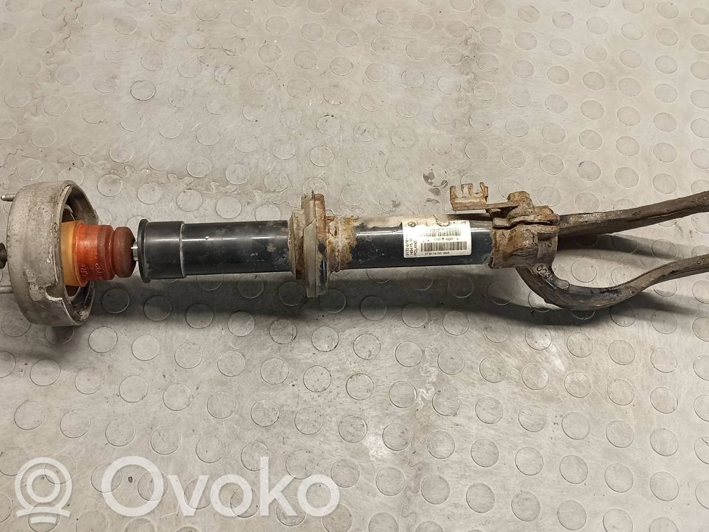 Front shock absorber/damper   22244959