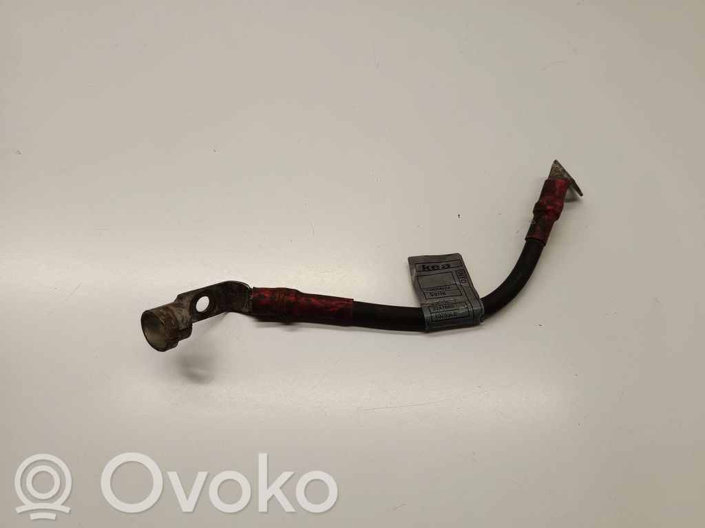 Plusa vads (akumulatora)   2247665