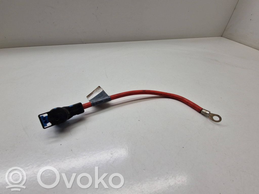 Other wiring loom   6900565