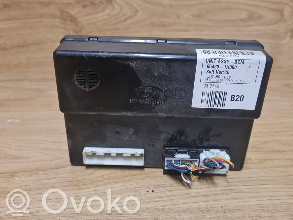 Other control units/modules   954201H000