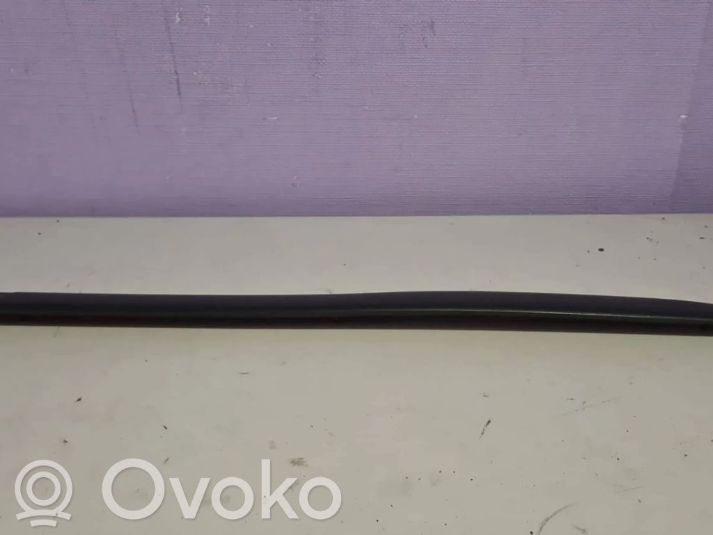 Ford Focus Rear door trim (molding) 