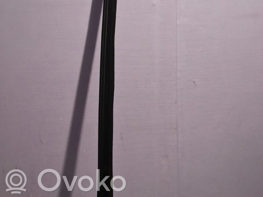 Ford Mondeo MK IV Sandarinimo guma priekinių durų (ant kėbulo) 