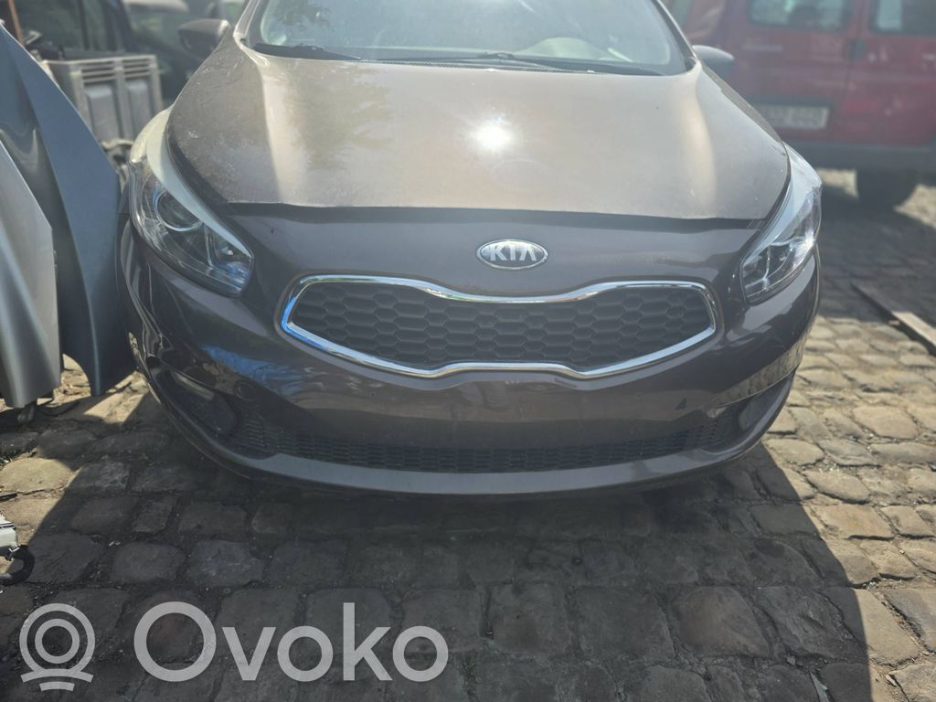 Bonnet/hood grill