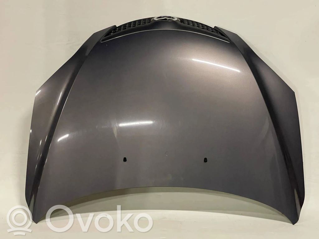 Motorhaube