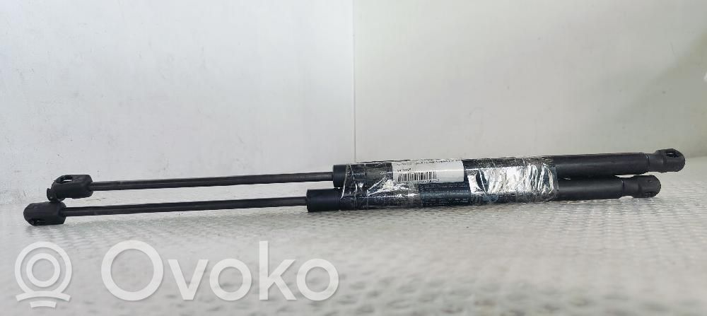 Ford Focus Amortizatorius galinio dangčio 