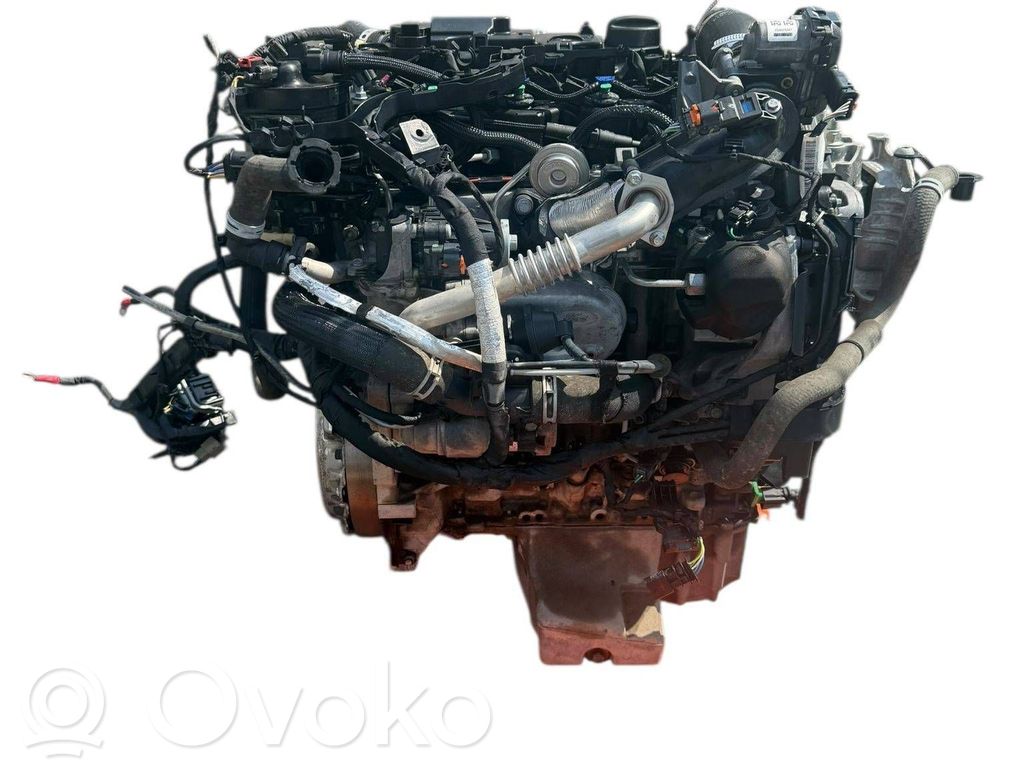 Ford Fiesta Variklis 