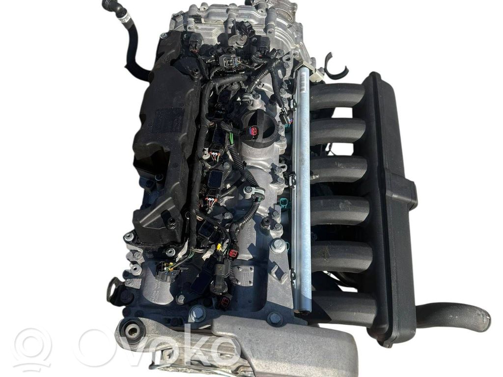 Variklis   8251977