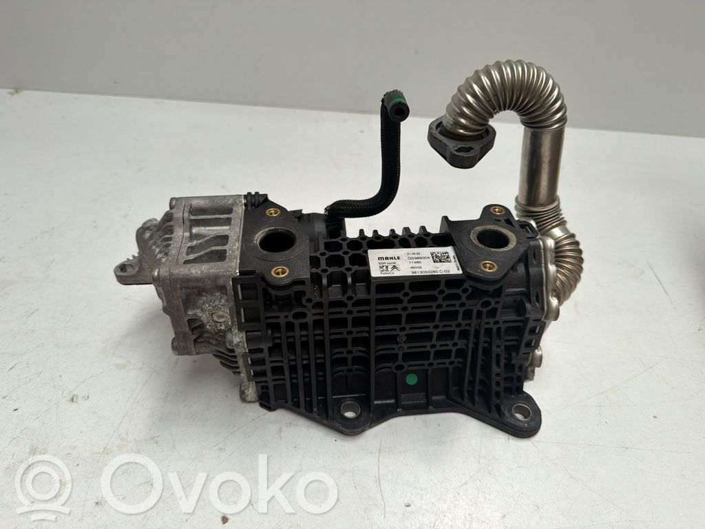 Citroen C3 EGR dzesētājs 