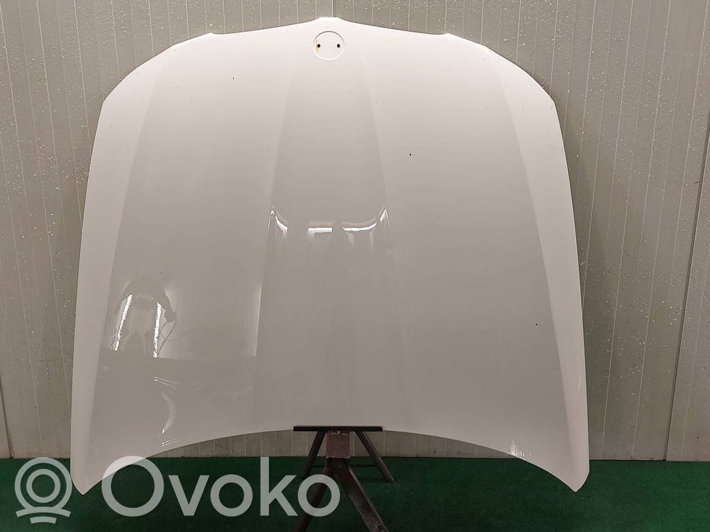 Dzinēja pārsegs (vāks)