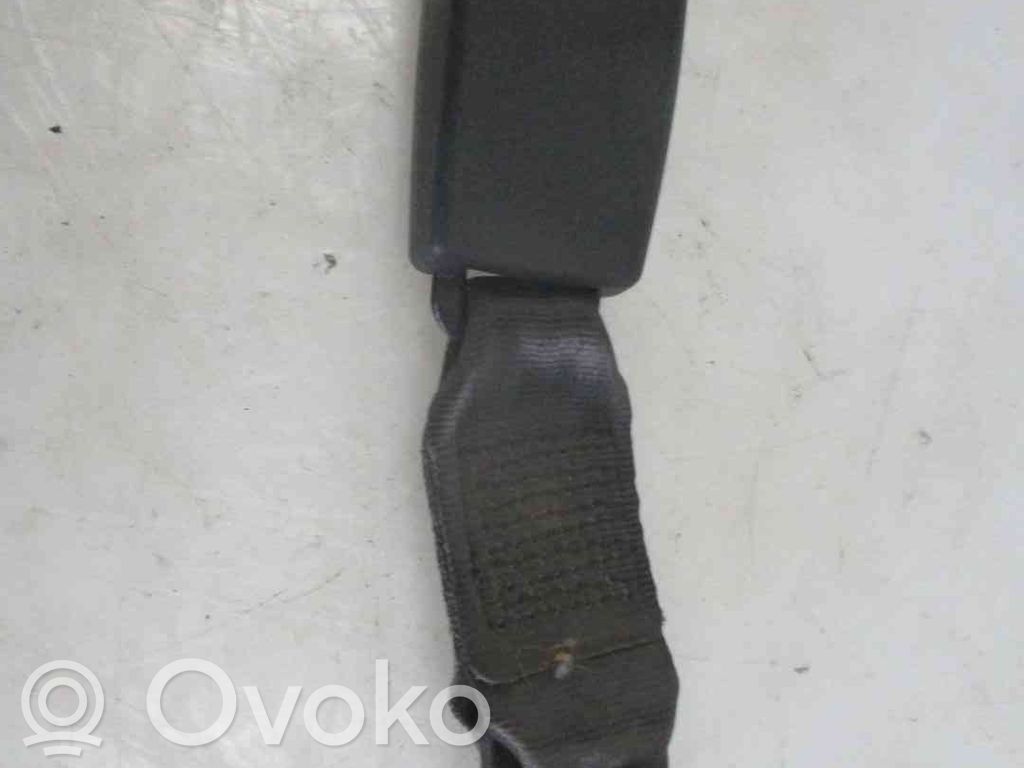 Klamra tylnego pasa bezpieczeństwa   1563755,21903478,2523689,VDMS4
