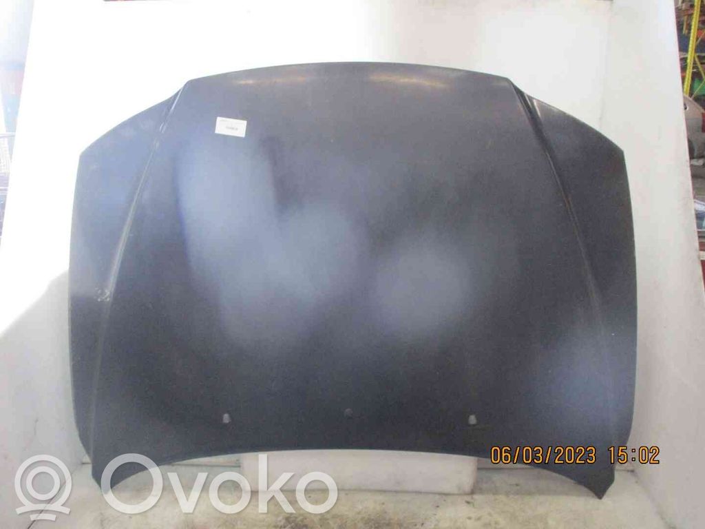 Motorhaube   8643018,22001945,2529364,VDMS4