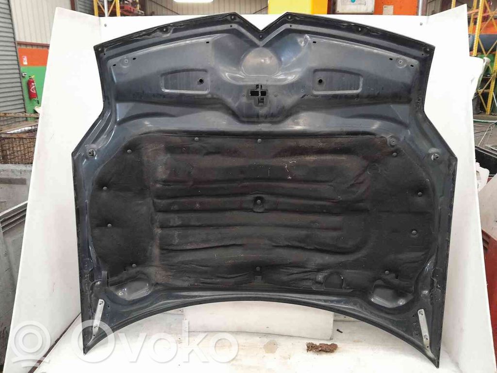 Capó/tapa del motor   790143,22301308,2552698,VDMS4