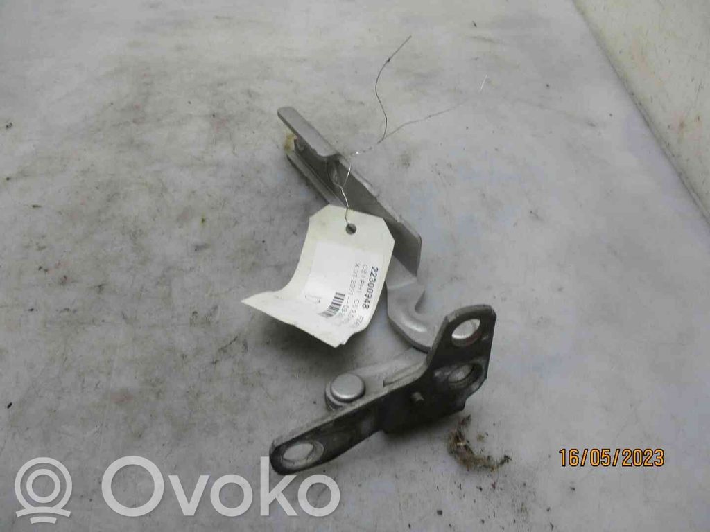 Citroen C5 Dzinēja pārsega eņģe (-es) 