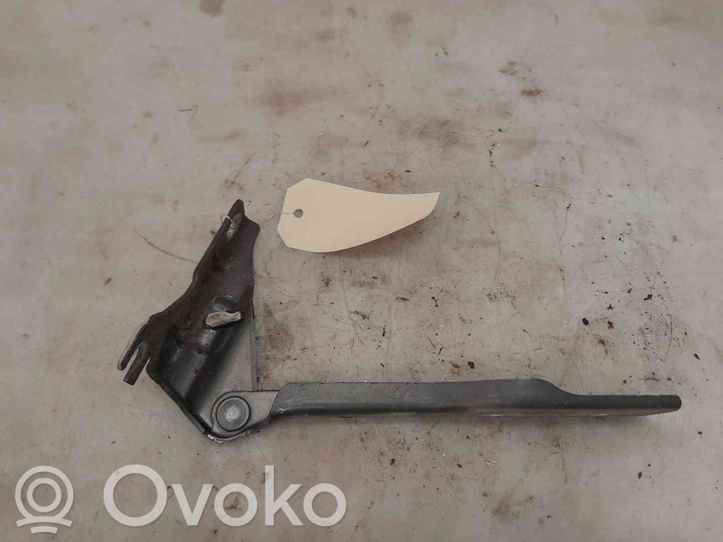 Volkswagen Polo V 6R Balamale capotă 