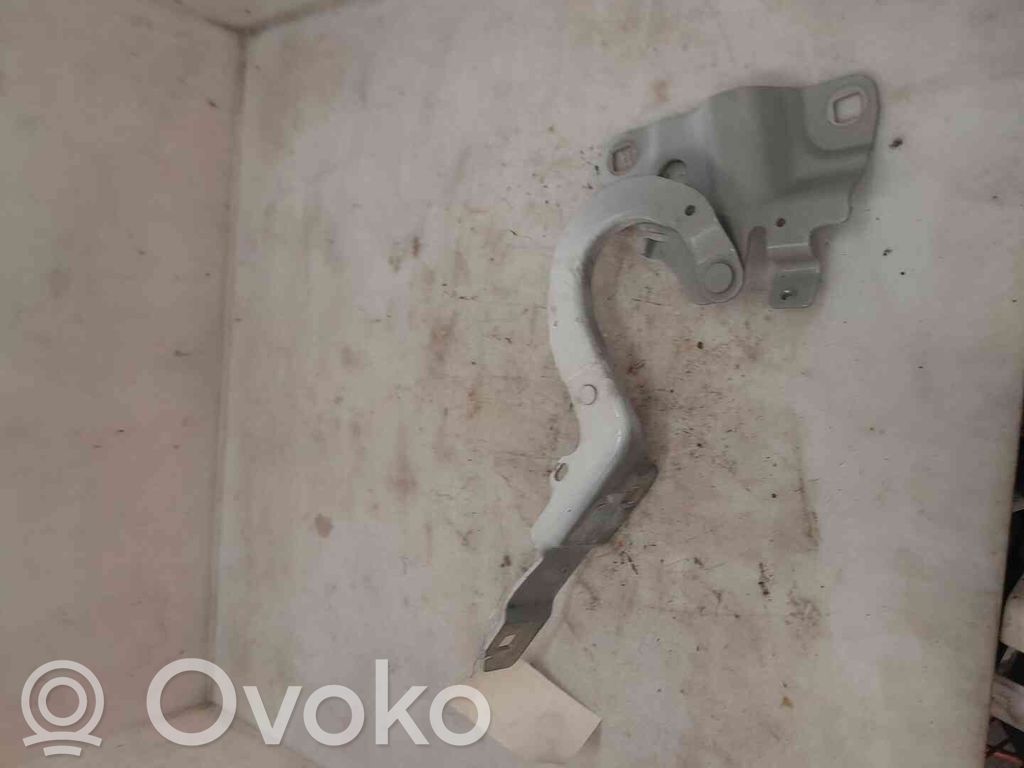 Renault Zoe Balamale capotă 