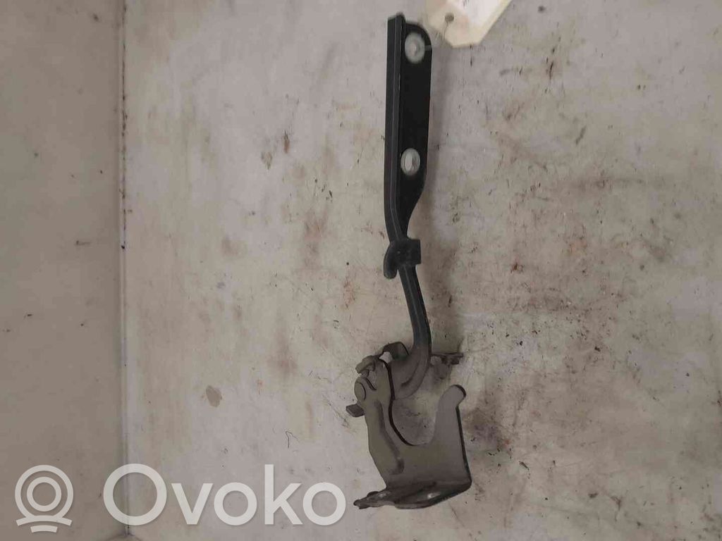 Nissan Juke I F15 Balamale capotă 
