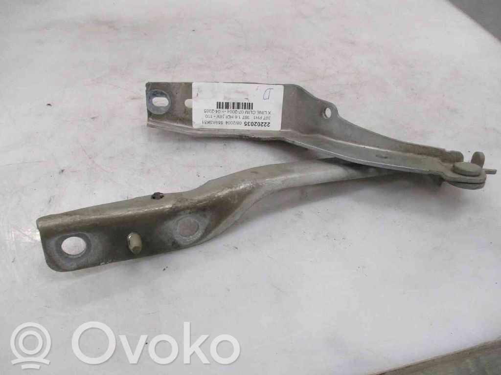 Peugeot 307 Balamale capotă 