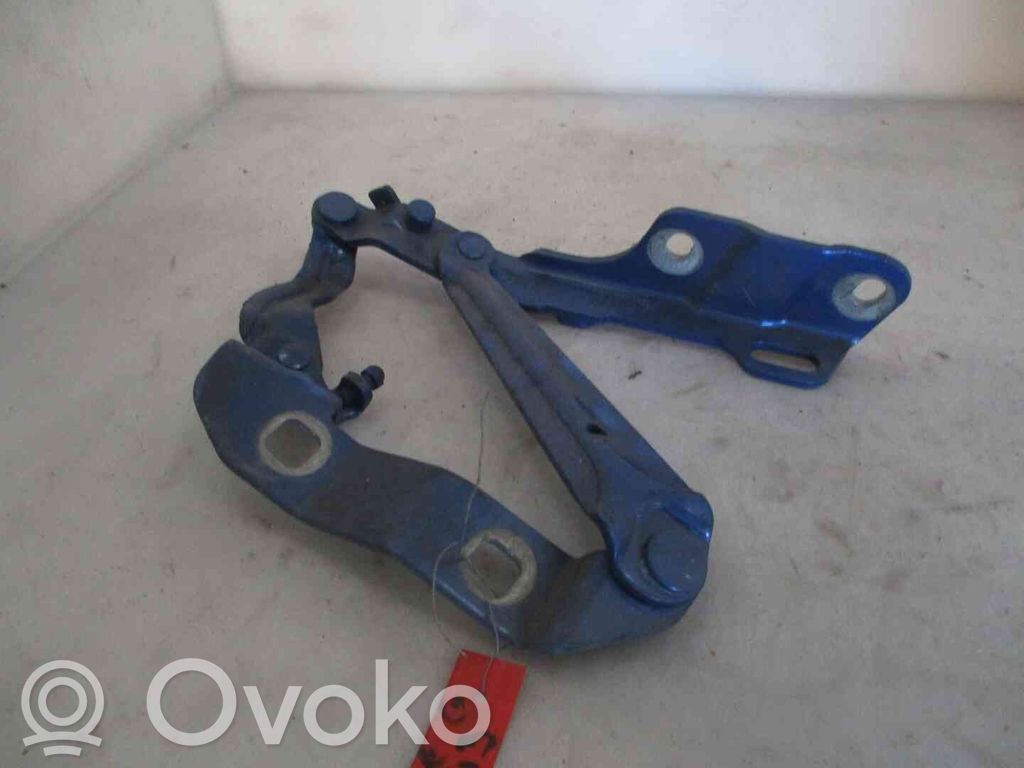 Volkswagen New Beetle Konepellin saranat