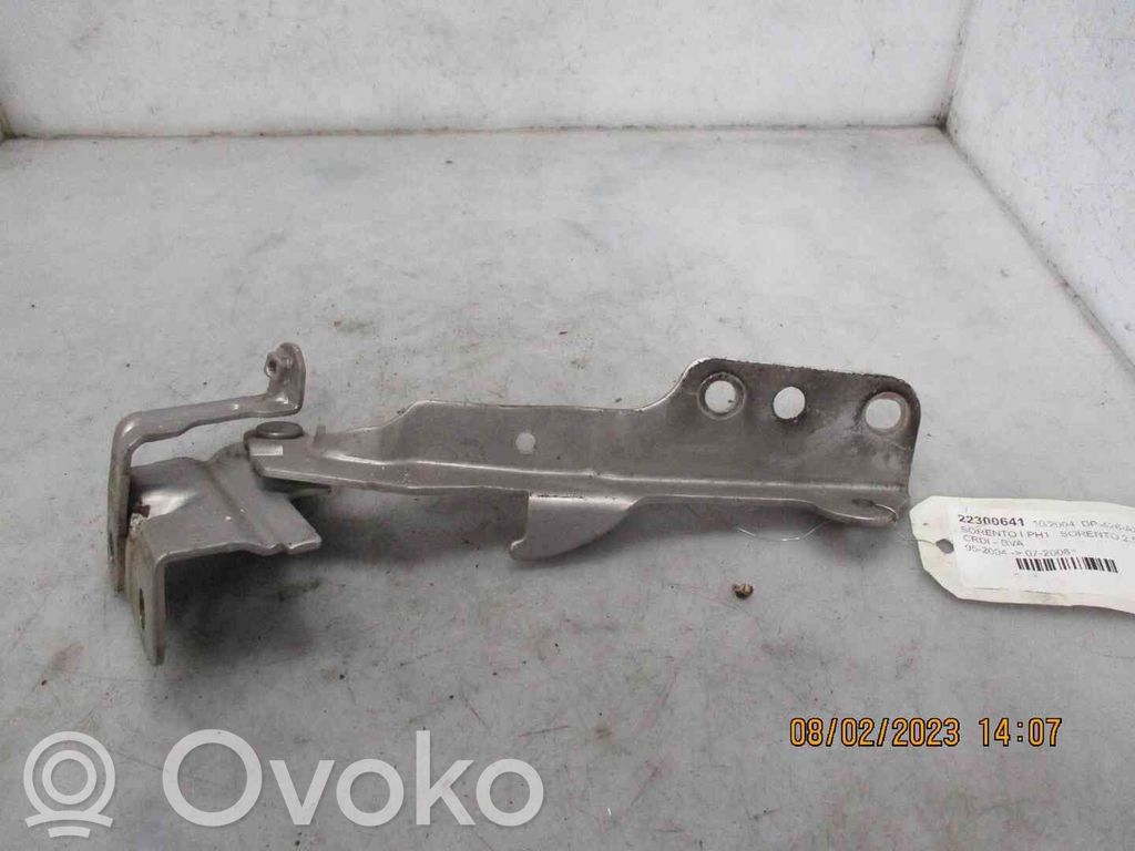 KIA Sorento Dzinēja pārsega eņģe (-es) 