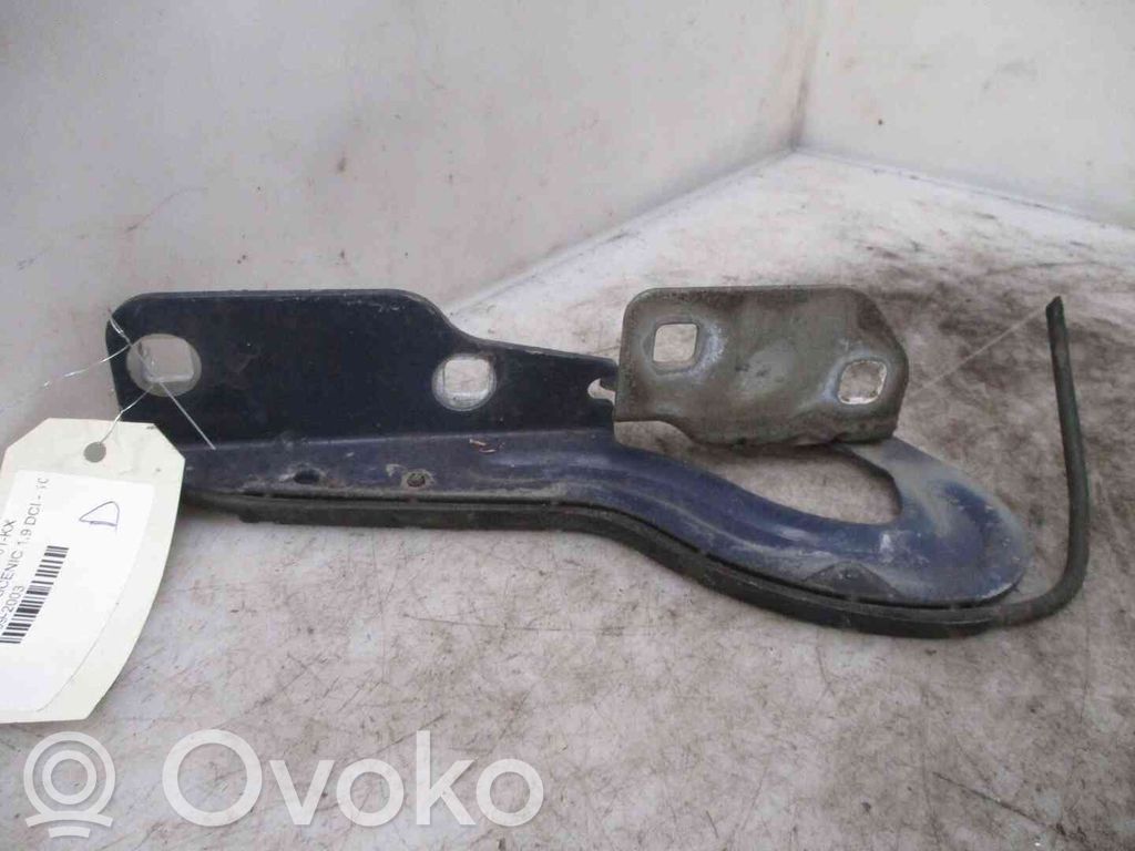Renault Scenic I Balamale capotă 