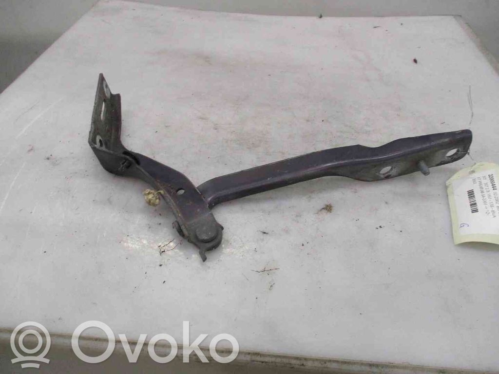 Peugeot 307 Balamale capotă 