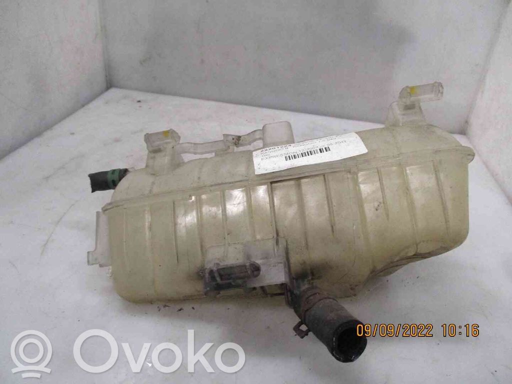 Renault Kangoo II Serbatoio di compensazione del liquido refrigerante/vaschetta