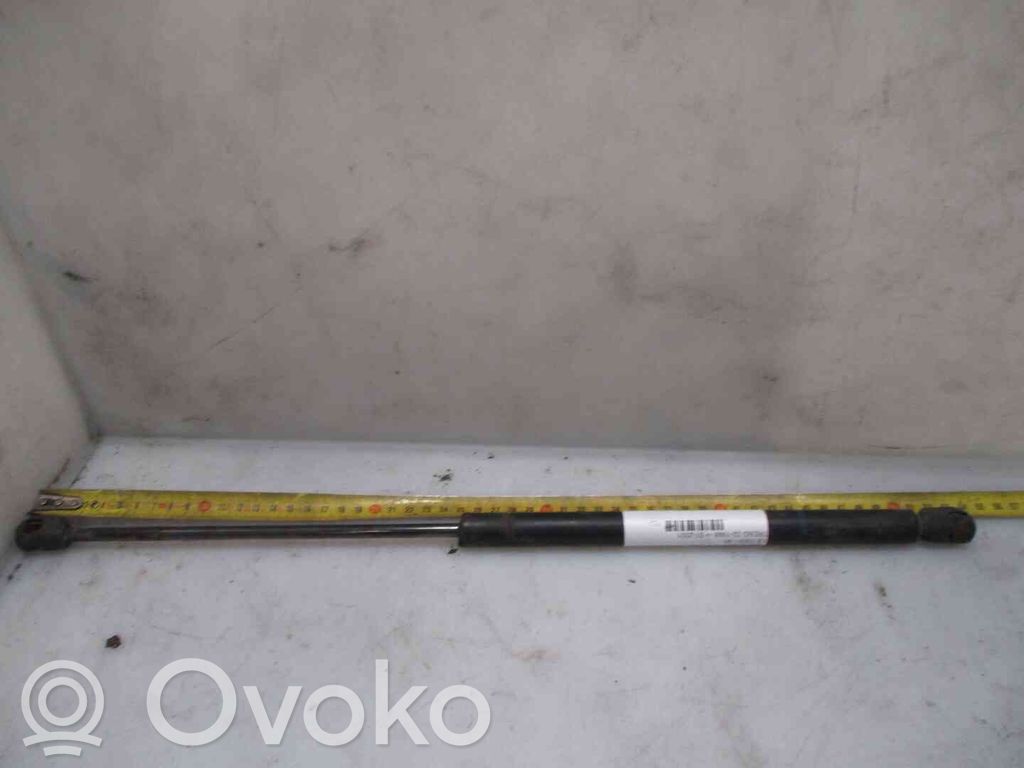 Ford Focus Amortizor hayon 