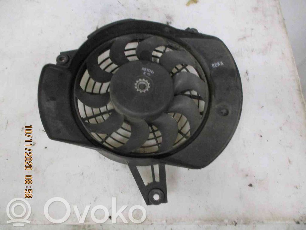 Hyundai H-1, Starex, Satellite Ventilator electric răcire radiator 